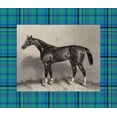 thumbnail image 2 of Hacker, E. 30x26 White Modern Wood Framed Museum Art Print Titled - Equestrian Plaid IV, 2 of 4