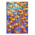thumbnail image 1 of Epic Art 'Clown Fish' by Enright, Acrylic Glass Wall Art, 12"x16", 1 of 8