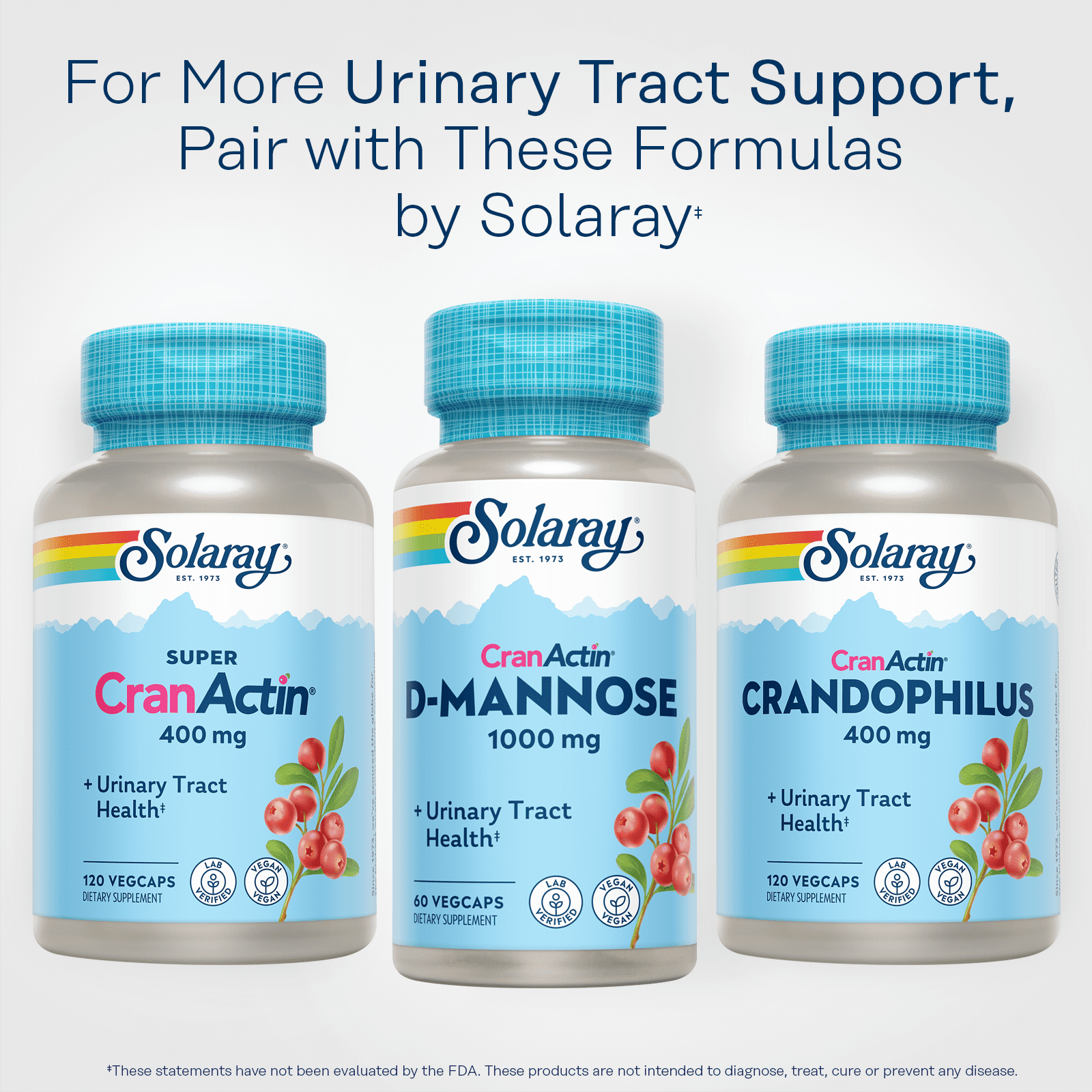 Solaray D-Mannose 1000mg with CranActin Cranberry Extract - D Mannose Cranberry Supplement with Vitamin C - Supports Urinary Tract and Bladder Health - Vegan, 60 Day Guarantee (60 CT)