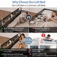 thumbnail image 3 of Mirightone Queen Loft Bed with Shelves & Ladder, Metal Loft Bed Frame with Safety Guardrail for Adults, Teens, Black, 3 of 10
