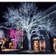 thumbnail image 5 of Cortina De Luces LED Exteriores Impermeables Para Jardín, Patio, Fiestas Navideñas, Bodas Y Decoración., 5 of 8