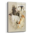 thumbnail image 2 of Epic Art 'Borzoi 2' by Barbara Keith, Acrylic Glass Wall Art, 16"x24", 2 of 8