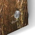 thumbnail image 3 of Epic Art 'Autumn Shades' by Lori Deiter Acrylic Glass Wall Art, 36"x24", 3 of 8