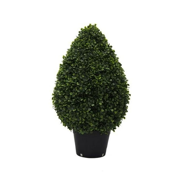 UV Boxwood Teardrop Shaped Everyday Topiary in Pot - 24 in.