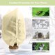thumbnail image 4 of BRILLAR Paño protector de plantas de invierno - 2,4x2 m, cordón, cremallera, reutilizable, resistente a las heladas y a los insectos, 4 of 5