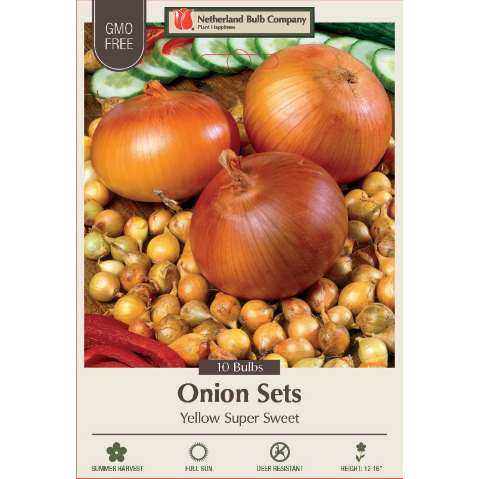 Super Sweet Yellow Onion Set - Top Size - 10 Bulbs
