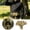 Brown, variant on 10"x7.5" Quick Access Concealed Waist Bag, Multi-Pocket Crossbody Fanny Pack with Adjustable Strap, Water Resistant Lightweight Chest Sling Bag for Travel Hiking Cycling Daily Use (Brown)