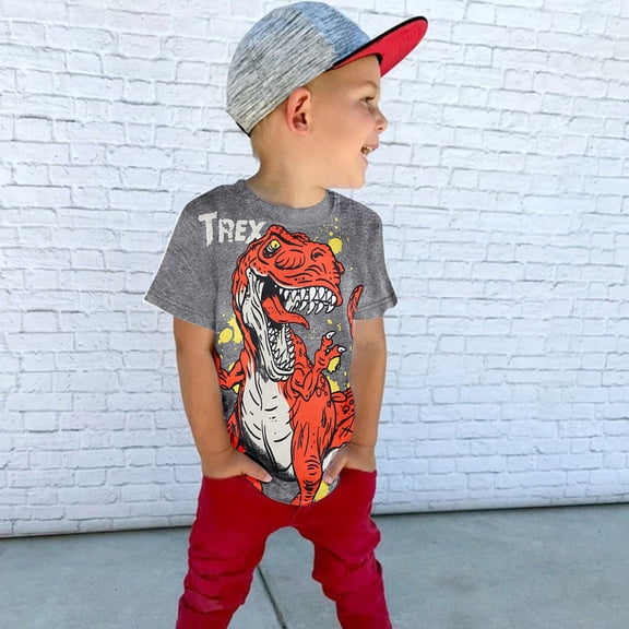 Boys T Shirts Short Sleeve Crew Neck Tops Loose Fit Casual Dinosaur Print Tops for Boys Grey Size 6-7 Y
