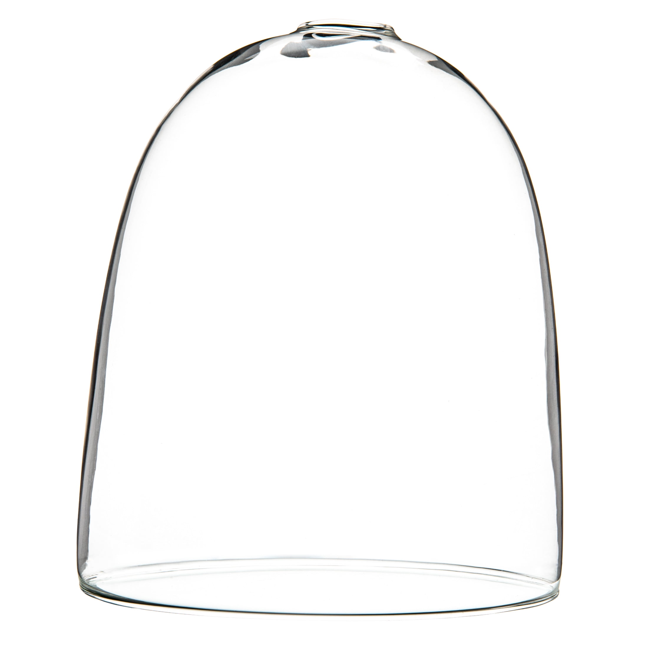 Bloomingville Large Egg Shaped Glass Terrarium, Clear