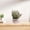 D, variant on Artificial Green Plant Mini Simulated Potted Plant Artificial Green Plastic Decor Small Ball Style Faux Succulent in Pink Pot Home Desk Office Shelf Decoration Photography Prop