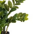 thumbnail image 2 of Vickerman 36" Potted Green Zamifolia Artificial Bush., 2 of 7