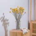 thumbnail image 2 of 40pcs Dried Craspedia Flowers Dried Billy Button Balls Flowers,dried Flower Bouquet For Arrangement, 2 of 4
