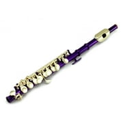 Sky(Paititi) Band Approved Purple Laquer with Gold KeysPiccolo Key of C with Hard Case, Cloth, Cleaning Rod, Joint Greasae and Screw Driver