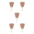 thumbnail image 3 of ZheElen 3pcs/set Atmosphere With Artificial Pampas Reed Boho Decor Artificial Flower Light Coffee 5Set, 3 of 6