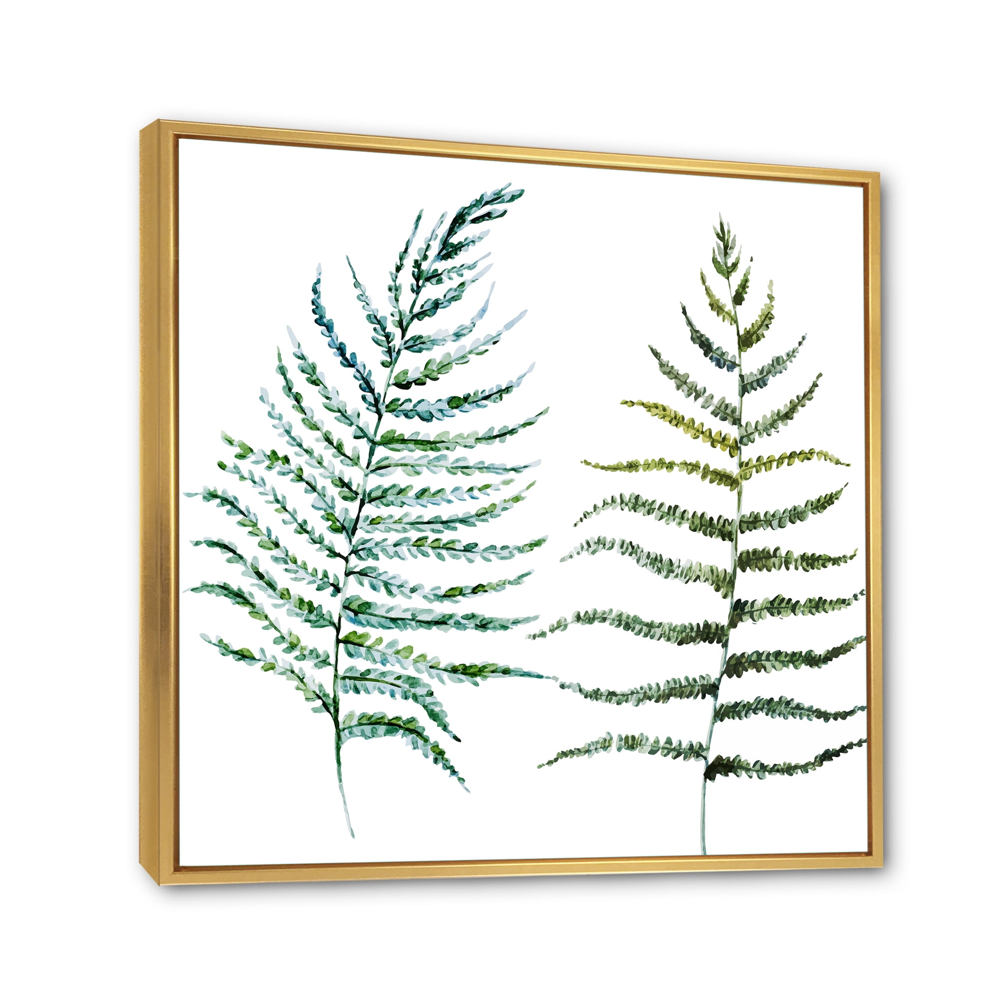 Designart 'Two Fern Leaves On White' Farmhouse Framed Canvas Wall Art Print