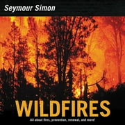 Wildfires (Paperback)