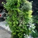 thumbnail image 2 of Torre De Flores Montada En La Pared, Contenedor De Flores, Maceta Para Cultivo De Plantas, Torre Vertical, Macetas, Accesorios De Decoración Para El Hogar Inevent HA035282-00, 2 of 6