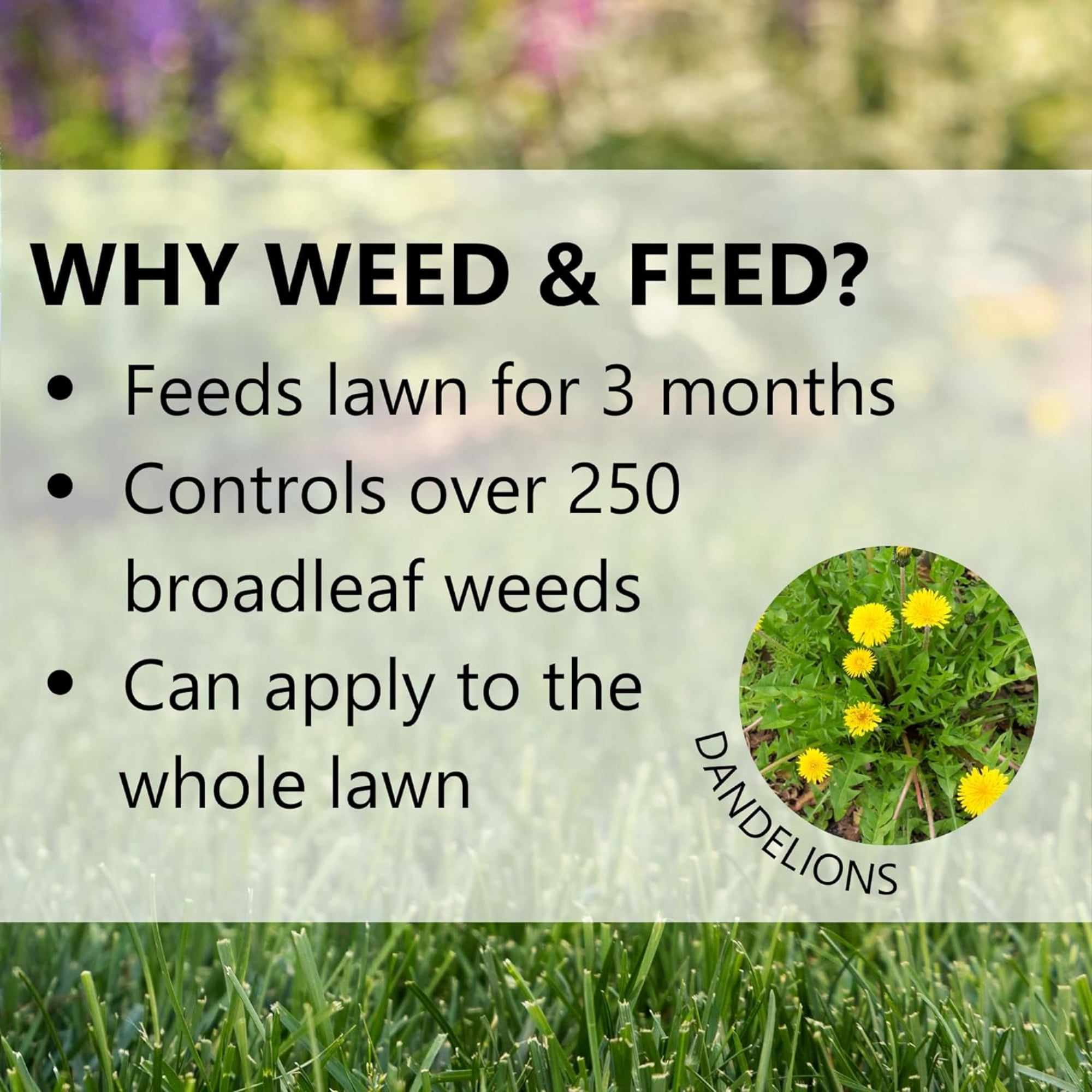 Jonathan Green (12344) Green-Up Weed & Feed - 21-0-3 Grass Fertilizer & Weed Killer (5,000 Sq. Ft.)