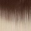 brown to bleach blonde