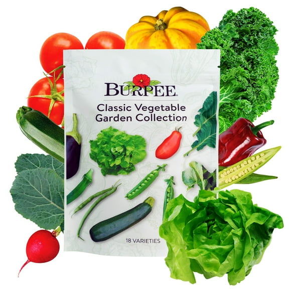 Burpee Heirloom Vegetable Garden Collection- 15,000  Seeds - Annual Lifecycle, Full Sun