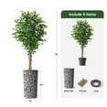 thumbnail image 3 of Artificial Tree in Geometric Pattern Planter, Fake Ficus Silk Tree for Indoor and Outdoor Home Decoration - 75" Overall Tall (Plant Pot Plus Tree), 3 of 5