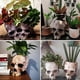 thumbnail image 2 of Skull Head Resin Planter, Halloween Decoration Retro Human Skull Head Flower Pot Planter, Skull Plant Pot Art Decor for, Cute Planters, 2 of 5