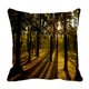 thumbnail image 1 of Funda De Almohada ABPHQTO Bosque De Verano 50x50 cm, 1 of 1