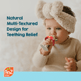 thumbnail image 3 of RaZbaby Chompy Grip Teether for Infant & Baby 3M+ Silicone Teether Toy with Suction Base and Multi-Texture Design for Teething Relief - Red/Green, 3 of 8