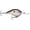 Big Shad, variant on Rapala Dives-To Crankbait 12 Live River Shad