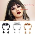 thumbnail image 4 of 1pcs Falso Piercing Nariz Anillo Aleación Magnético Herradura Septum Rock Imán De Acero Inoxidable No Aro Pernos Joyería, 4 of 4