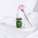 thumbnail image 2 of Spray corporal refrescante Árnica Dr. Montfort, 2 of 2