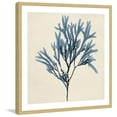thumbnail image 3 of Marmont Hill "Coastal Seaweed VIII" Framed Painting Print, 3 of 5