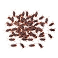 thumbnail image 4 of 100 piezas de juguetes de cucarachas falsas, cucarachas realistas, juguetes de animales, juguetes complicados de simulación, cucarachas artificiales d S, 4 of 8