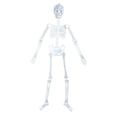thumbnail image 2 of NovaStitch Halloween Skeleton Glow-in-the-Dark Prop Full Body Hanging Bones Figure with Skull and Ribcage HalloweenDecorations Indoor Yard Wall Decor Night Light Skeleton Ornament, 2 of 8