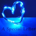 thumbnail image 2 of Guirnalda de luces SmilingTown, 20 LED, 2 m, 15 paquetes, azul, 2 of 8
