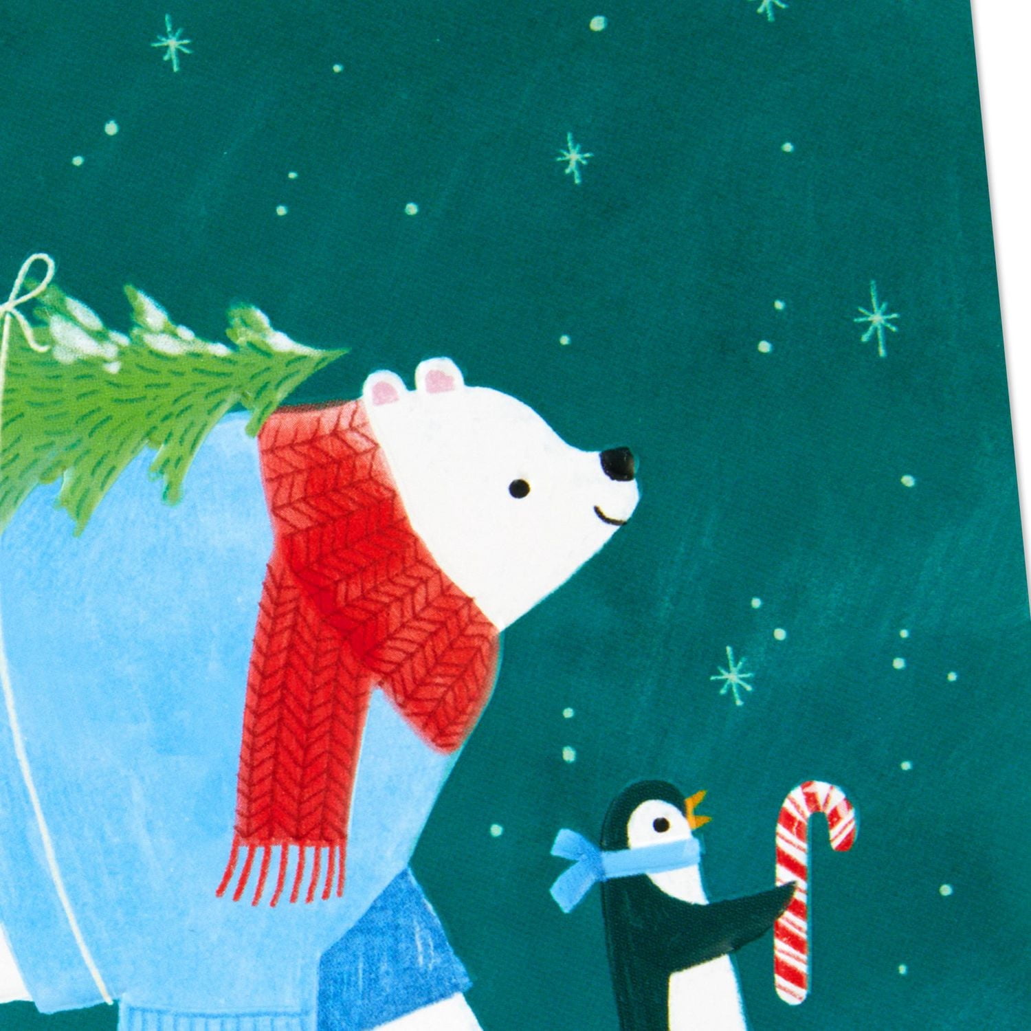 Boîte de cartes Hallmark de Noël, pingouins et ours polaire (paquet de 16 cartes et enveloppes)