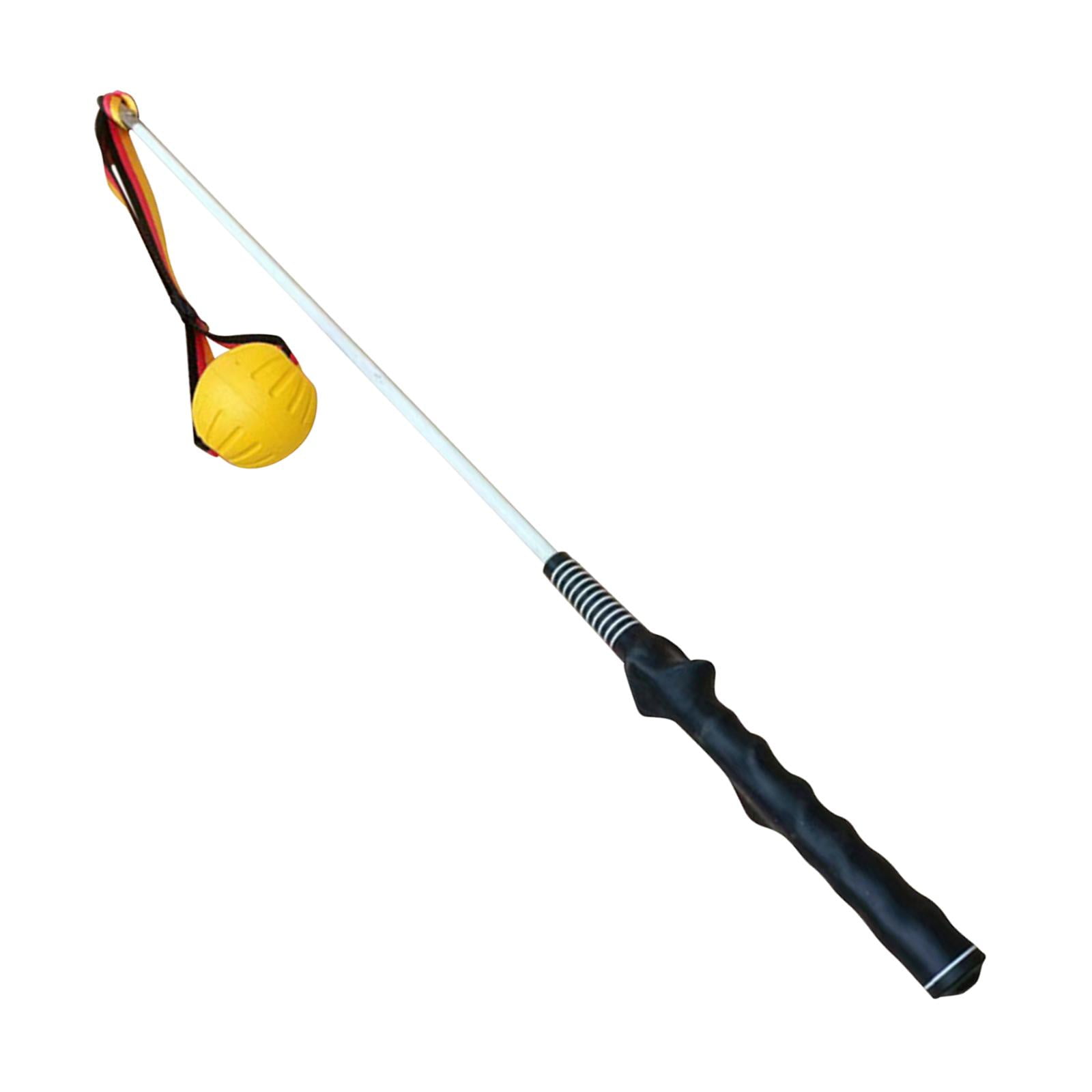 Bvdfgk Flirt Pole for Dogs Dog Teaser Pole Interactive Dog Toys Tug of War Rope Toy for 80cm