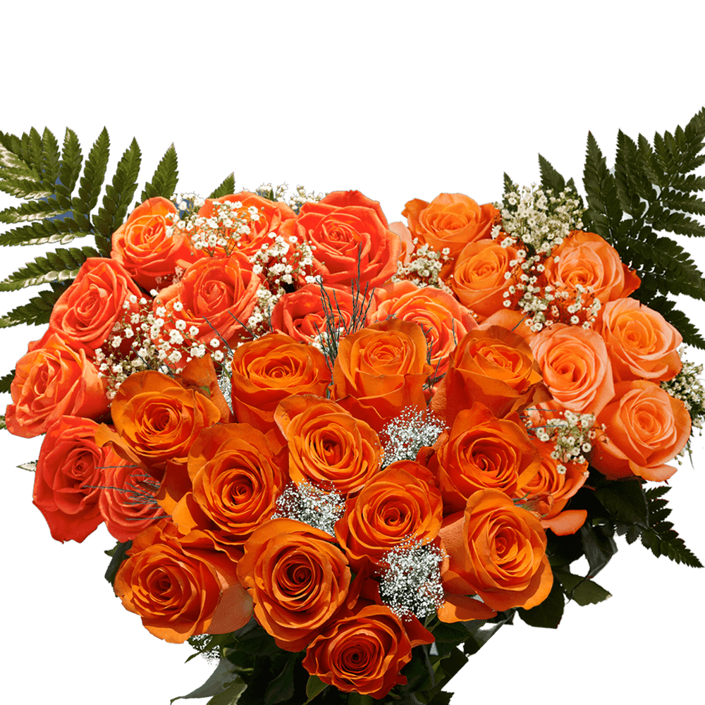 3 Dozen Orange Roses with Baby's breath and Green Fresh Flower