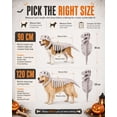 thumbnail image 4 of Pet Dinosaur Costume, Soft Plush T-Rex Skeleton Halloween Costume for Dogs | Cosplay Clothes for Medium & Large Dog and Cats Funny Adorable Glow-in-the-Dark Dino Outfits Big Breeds For Party Family, 4 of 8