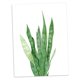 thumbnail image 5 of Acuare Hojas De Impresión De De Pintura Lona trifasciata-leaf M Gloria Pintura al óleo moderna de la lona, 5 of 7