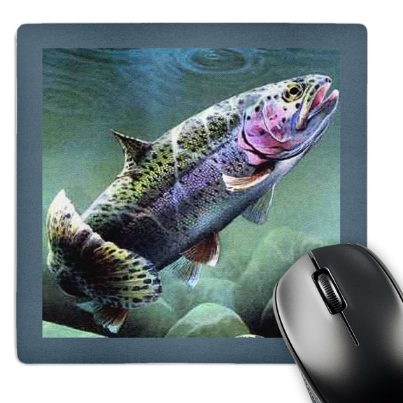 3dRose, Rainbow Trout, MousePad