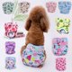 thumbnail image 2 of Pañales reutilizables para perras, bragas fisiológicas para mujeres, ropa interior para perros, pantalones cortos para la menstruación de mascotas, ropa para perros, 2 of 5