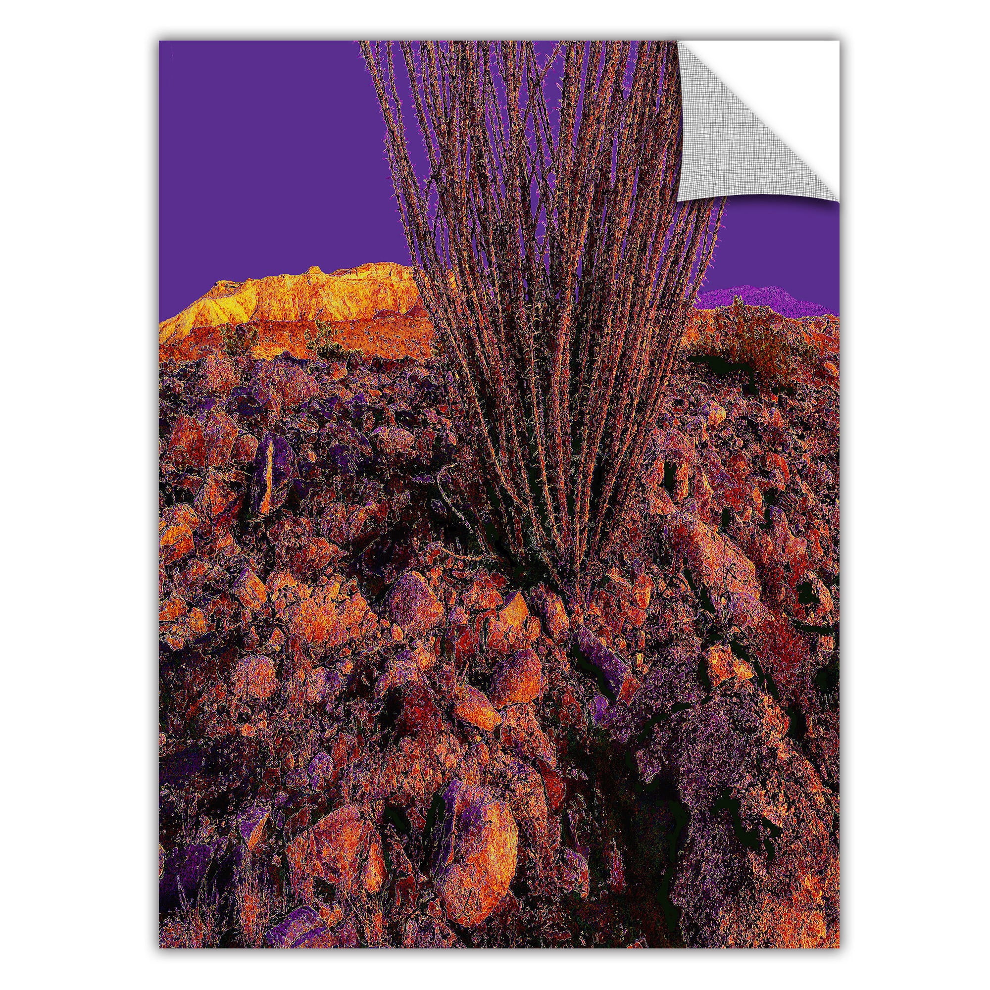 Dean Uhlinger "Yuma Desert Dawn" Removable Wall Art
