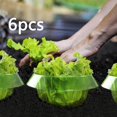 thumbnail image 4 of Collares Protectores de Verduras Reutilizables para Jardín, Protector de Protección 6 piezas Macarena Collar de protección, 4 of 7