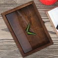 thumbnail image 1 of OUNONA Butterflies Specimen Case Wood Brown 1Set for Collectors Home Decoration, 1 of 6