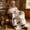 Multicolor, variant on VAJUSO Printed Sherpa Blanket – 50.00 × 59.84 in (127 × 152 cm) fall/winter warm nap blanket, Year of the Horse sofa throw Home Decoration