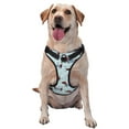 thumbnail image 1 of Balery Dachshund Dog Puppy Arnés para Perros Grandes Antitirones, Arnés con Correa para Gato, Arnés Tipo Chaleco para Perros Pequeños-Medium, 1 of 6