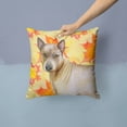 thumbnail image 2 of Thai Ridgeback Fall Fabric Decorative Pillow, 2 of 4