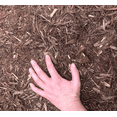 thumbnail image 6 of Permagreen Gorilla Hair Landscape Mulch 2 cu ft Red Fibrous Decorative Mulch, 6 of 6
