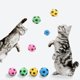 thumbnail image 5 of 4 Pack de Juguetes de Espuma de Fútbol para Gatos, 1 Pulgada de Diámetro, Pelotas Interactivas de Colores para Gatos y Perros Pequeños, Juguetes Seguros y Ligeros para Lanzar, 5 of 6
